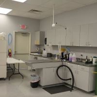 Spay & Neuter Center of Southern Nevada ico