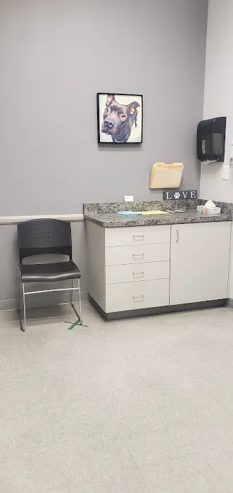 Spay & Neuter Center of Southern Nevada Picture 7