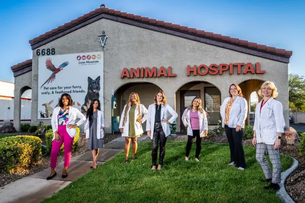 Lone Mountain Animal Hospital Picture 1