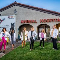Lone Mountain Animal Hospital ico
