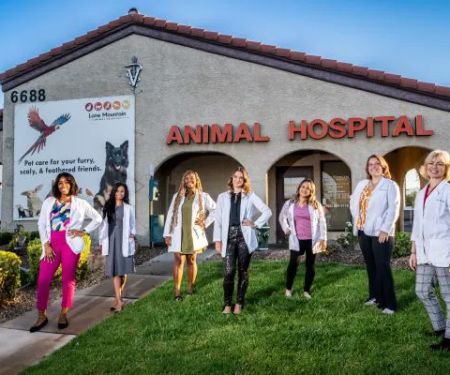 Lone Mountain Animal Hospital