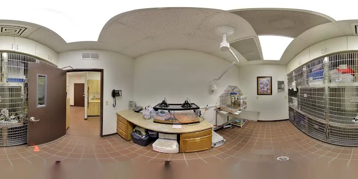 Lone Mountain Animal Hospital Picture 2