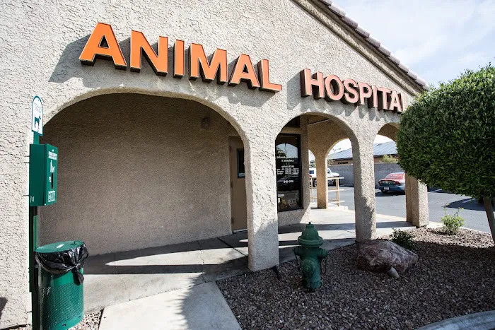 Lone Mountain Animal Hospital Picture 7
