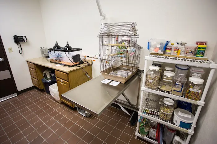 Lone Mountain Animal Hospital Picture 8