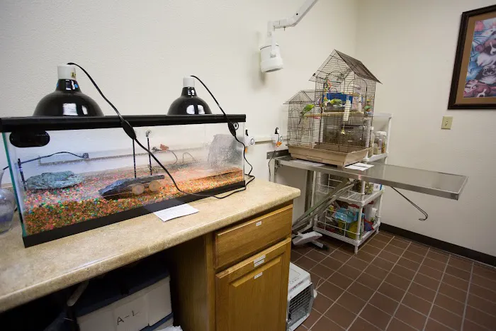 Lone Mountain Animal Hospital Picture 9