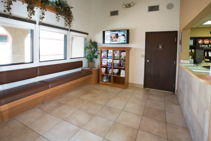 Lone Mountain Animal Hospital Picture 10