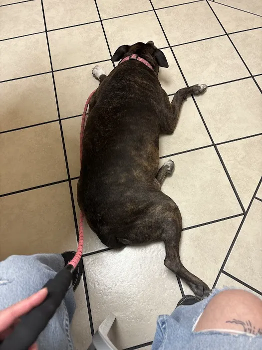 Southwest Animal Hospital Picture 1