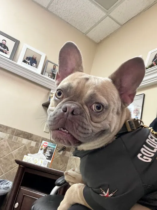 Southwest Animal Hospital Picture 4