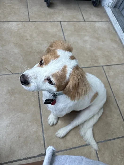 Southwest Animal Hospital Picture 7