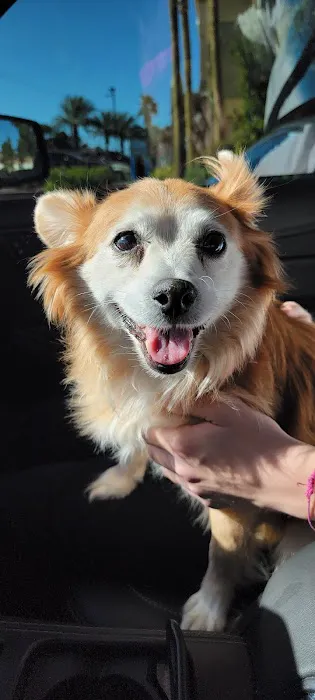 Southwest Animal Hospital Picture 6