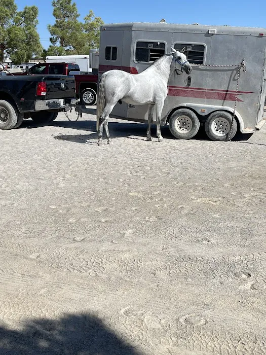 Desert Pines Equine Center Picture 4