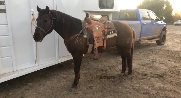 Desert Pines Equine Center Picture 7