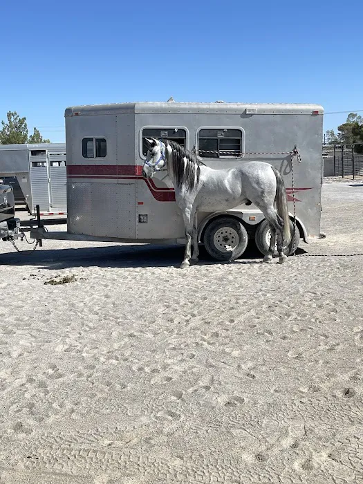 Desert Pines Equine Center Picture 10