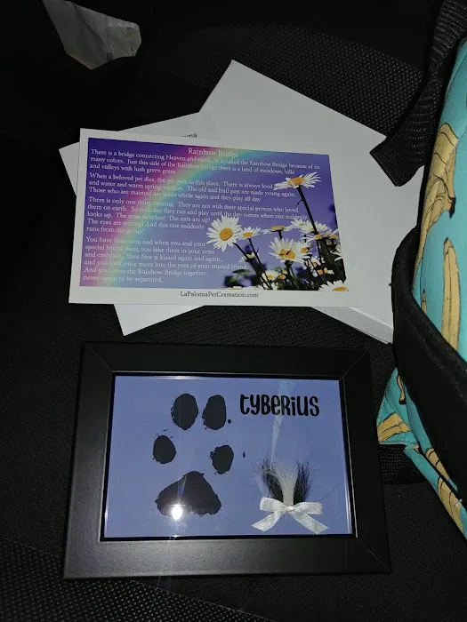 Veterinary Emergency + Critical Care North Rainbow Picture 6