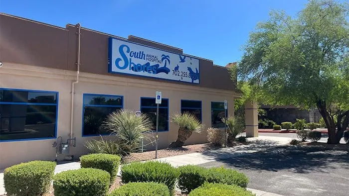 South Shores Animal Hospital Picture 1