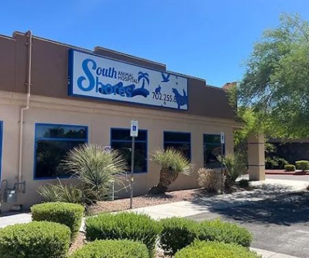 South Shores Animal Hospital