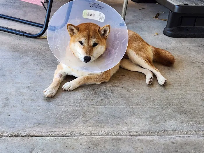 Cheyenne West Animal Hospital Picture 3