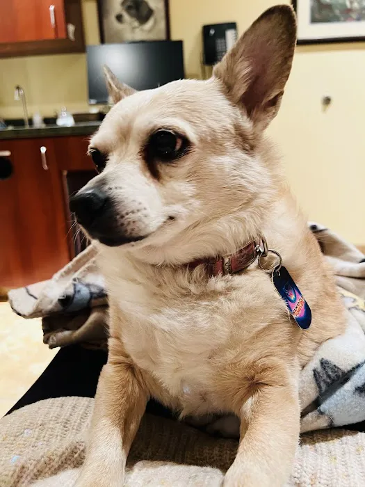 Cheyenne West Animal Hospital Picture 6