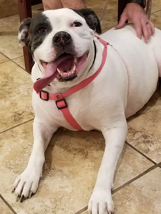 Cheyenne West Animal Hospital Picture 9