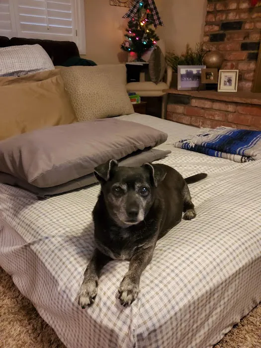 Pecos-Russell Animal Hospital Picture 8