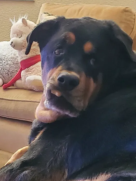 Pecos-Russell Animal Hospital Picture 10