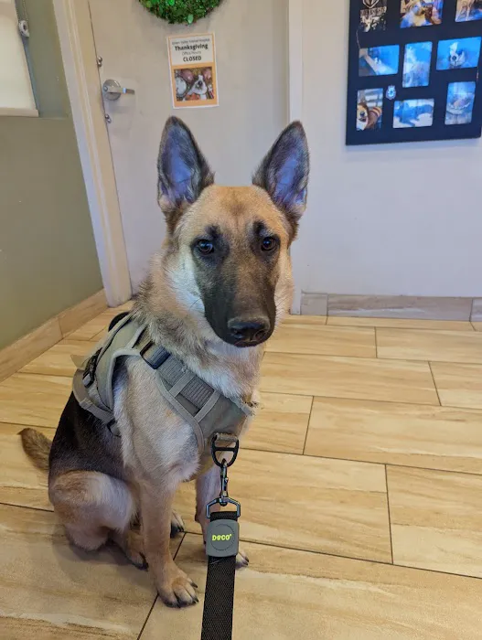 Green Valley Animal Hospital Picture 4