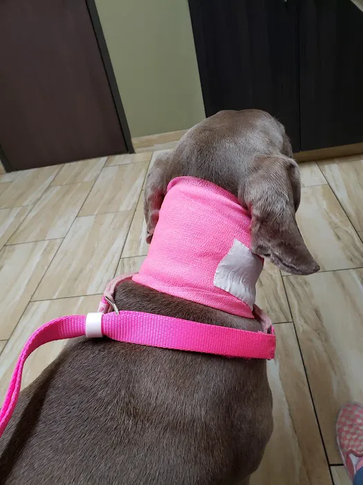 Green Valley Animal Hospital Picture 8