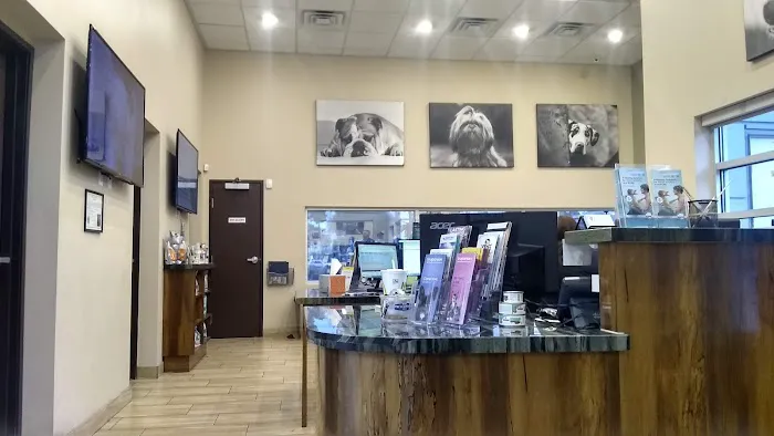 Green Valley Animal Hospital Picture 6