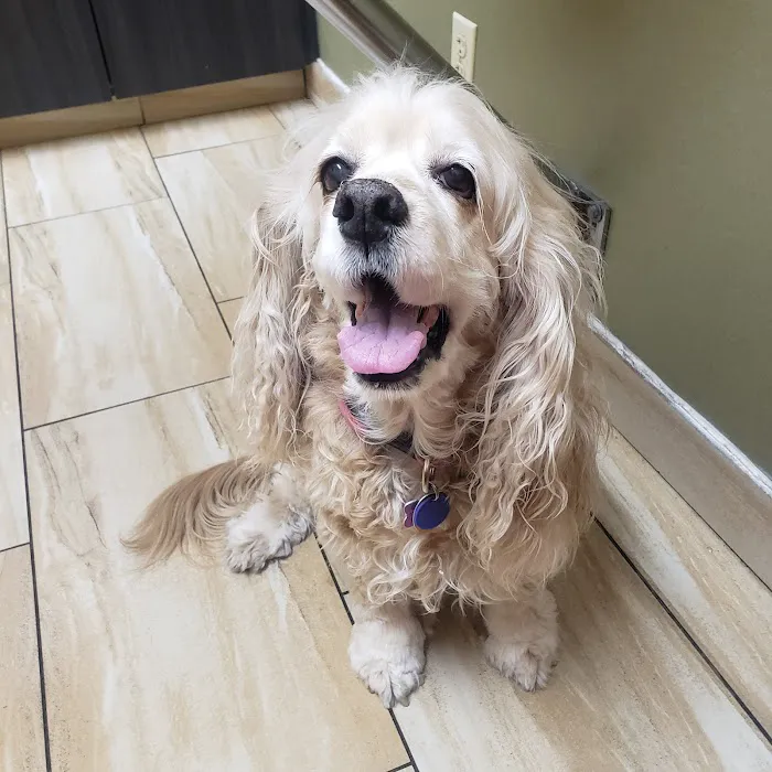 Green Valley Animal Hospital Picture 7
