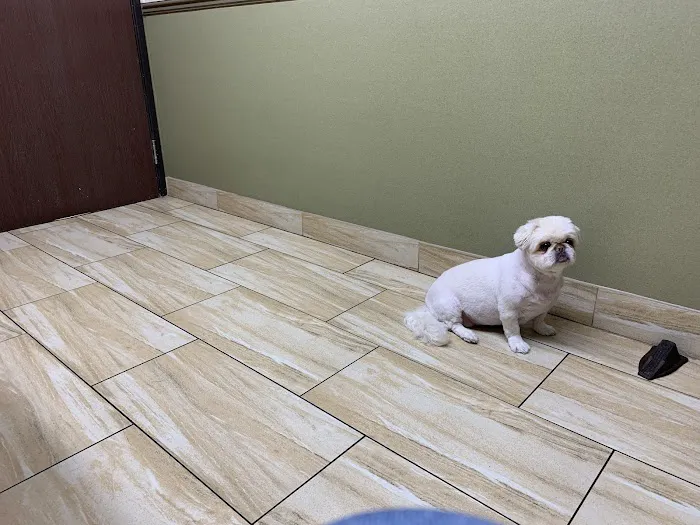 Green Valley Animal Hospital: Rose Jennifer DVM Picture 1