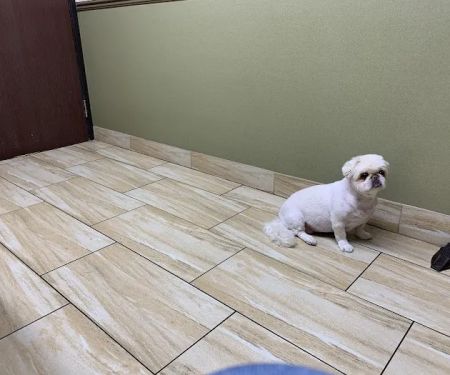 Green Valley Animal Hospital: Rose Jennifer DVM