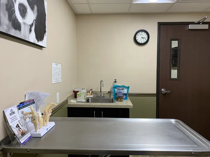 Green Valley Animal Hospital: Rose Jennifer DVM Picture 2
