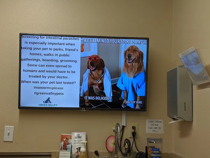 Green Valley Animal Hospital: Rose Jennifer DVM Picture 3