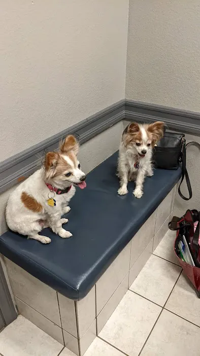 American Pet Hospital: Pond D Travis DVM Picture 1