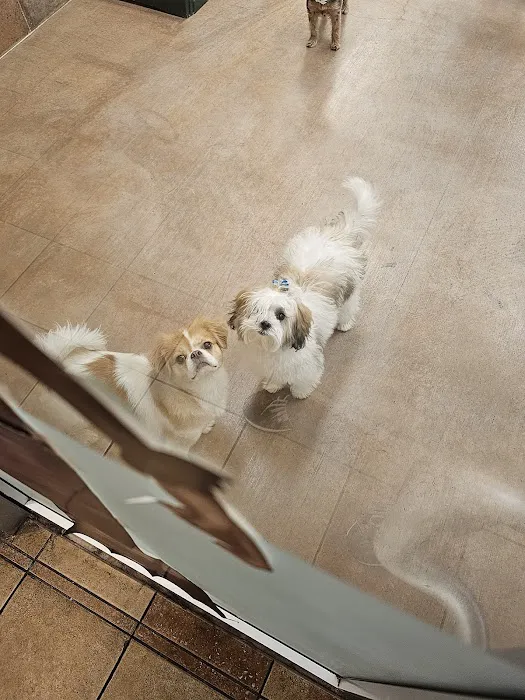 Banfield Pet Hospital Picture 3