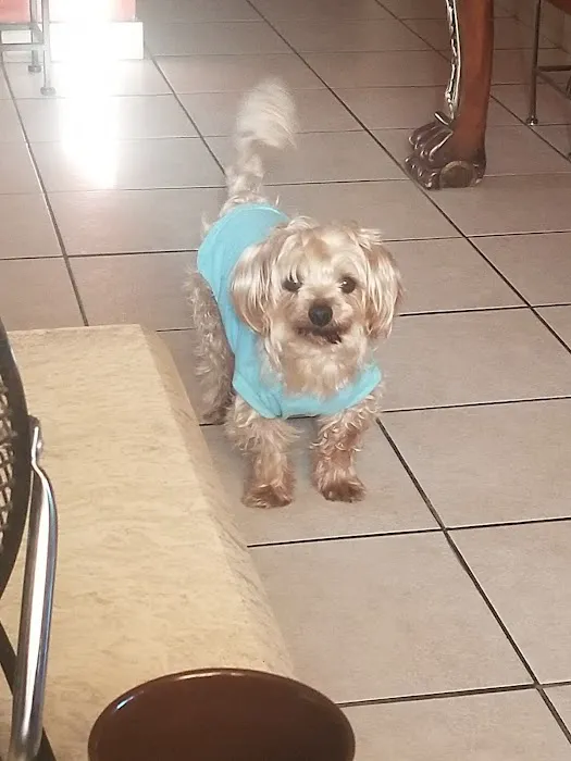 Banfield Pet Hospital Picture 8