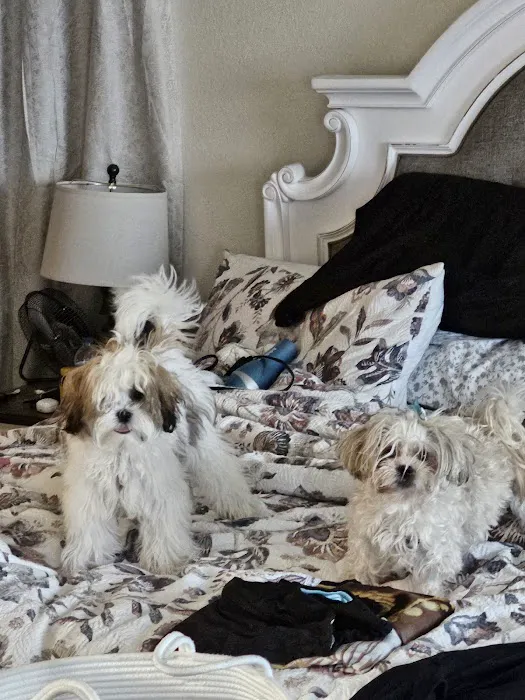 Banfield Pet Hospital Picture 9