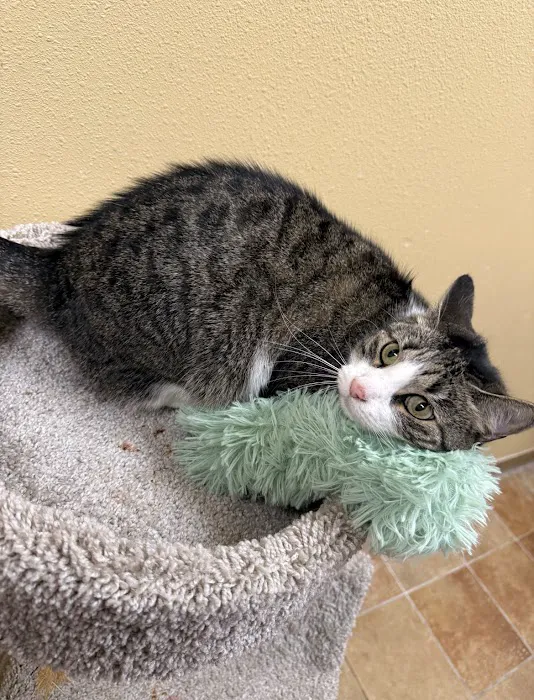 Banfield Pet Hospital Picture 10