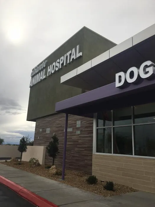 Aliante Animal Hospital Picture 2