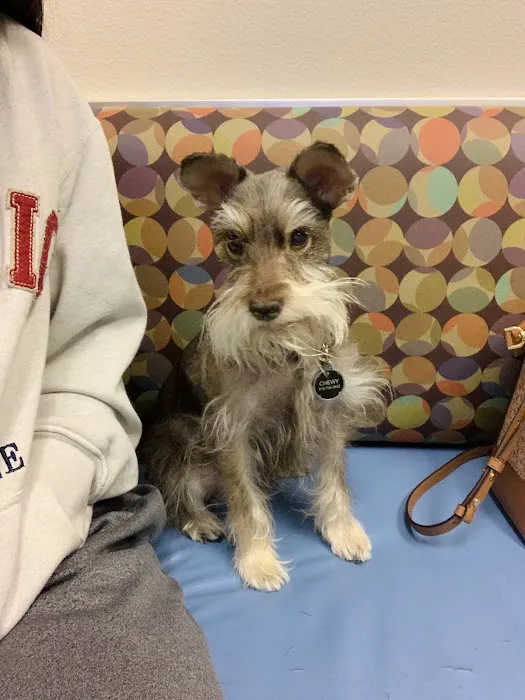 Aliante Animal Hospital Picture 5