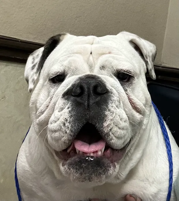 West Charleston Animal Hospital Picture 1