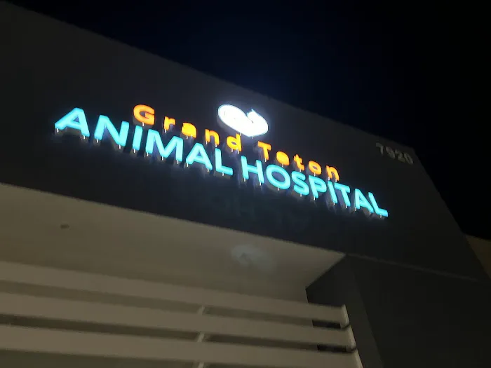 Grand Teton Animal Hospital Picture 5