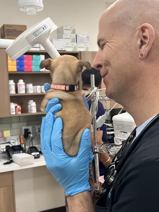 Grand Teton Animal Hospital Picture 8