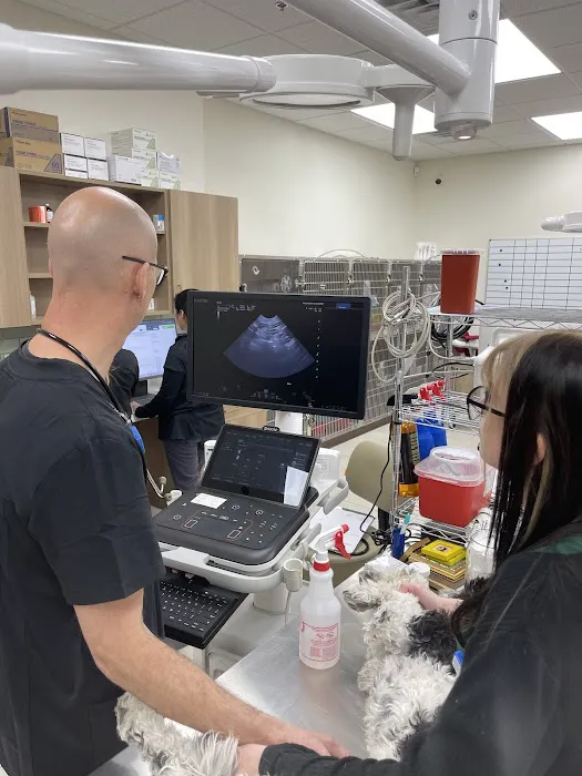 Grand Teton Animal Hospital Picture 10