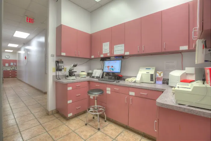 Gandy Animal Hospital Picture 3