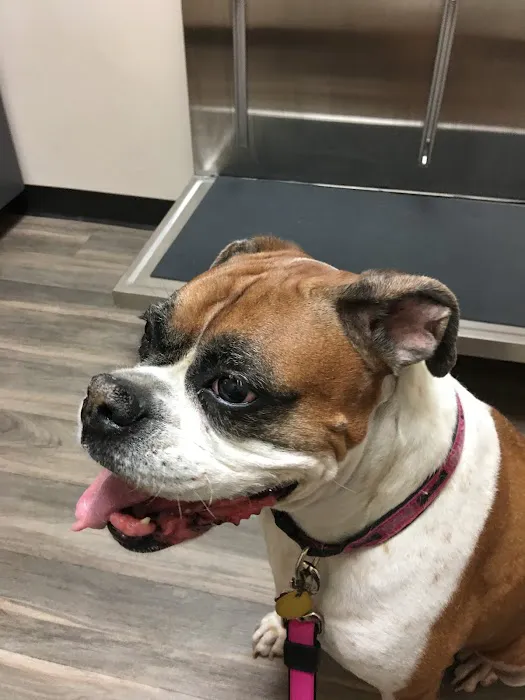 Gandy Animal Hospital Picture 1