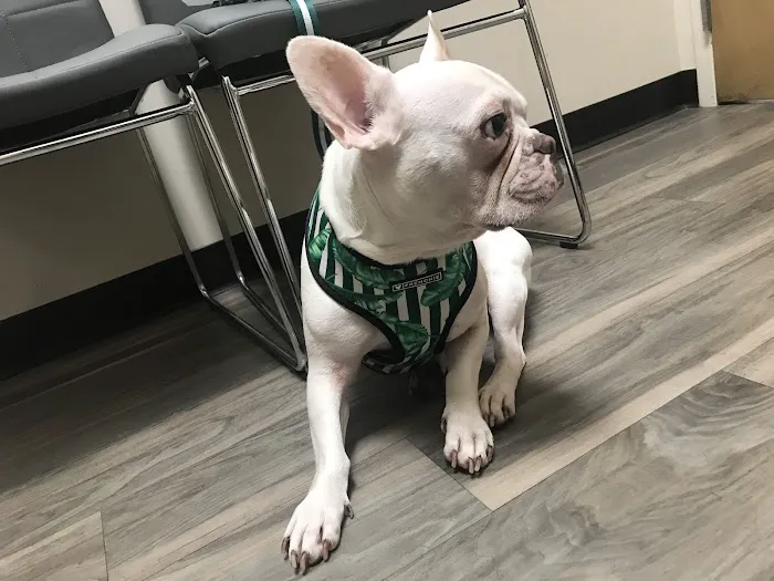 Gandy Animal Hospital Picture 7