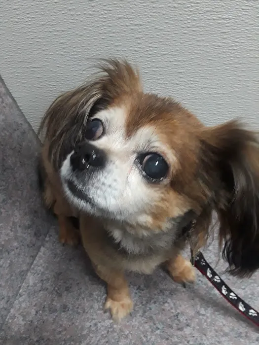 Gandy Animal Hospital Picture 6