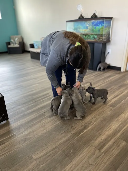 Gandy Animal Hospital Picture 8