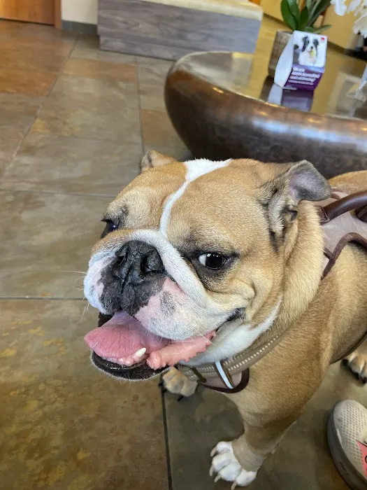 Eye Care for Animals - Tampa Picture 5